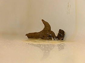 私の汚いもの全部お見せいたします　サンプル画像05